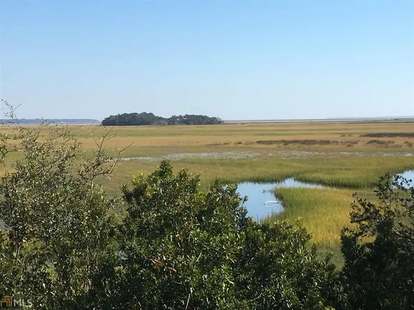 Eagle Neck Airstrip Rd, Townsend, GA 31331