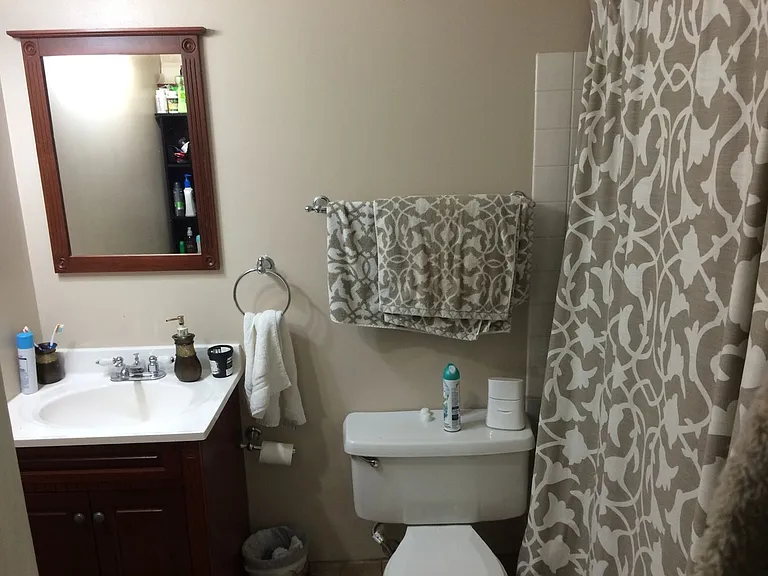 474 N Lake Shore Dr #4203 — Photo 14