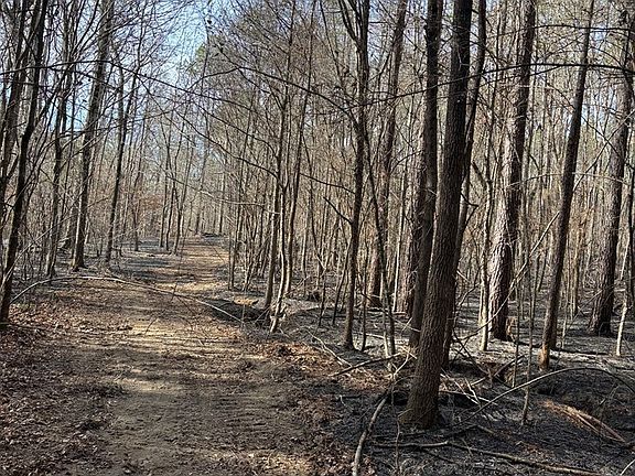 5th image of 0 County Road 311