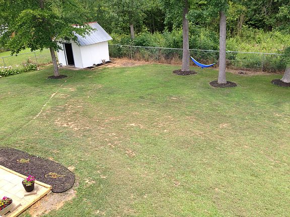 Back yard & woods from roof
