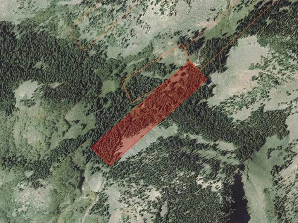 TBD Virginia Lode Mining Claim, Mt. Crested Butte, CO 81225