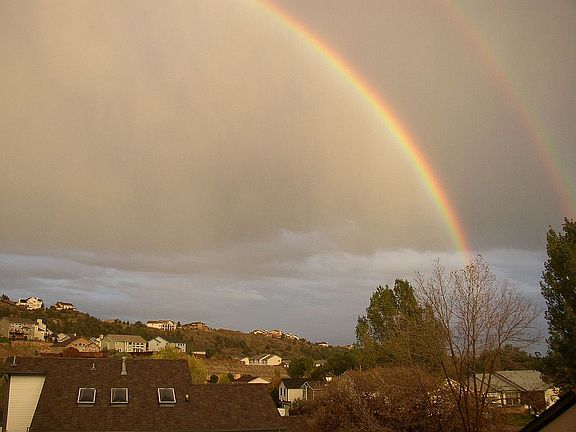 View out bedroom window