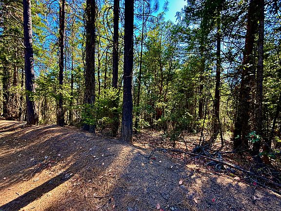 5th image of 1200 Pine Forest Dr