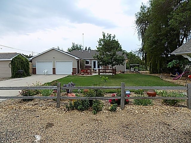 back yard