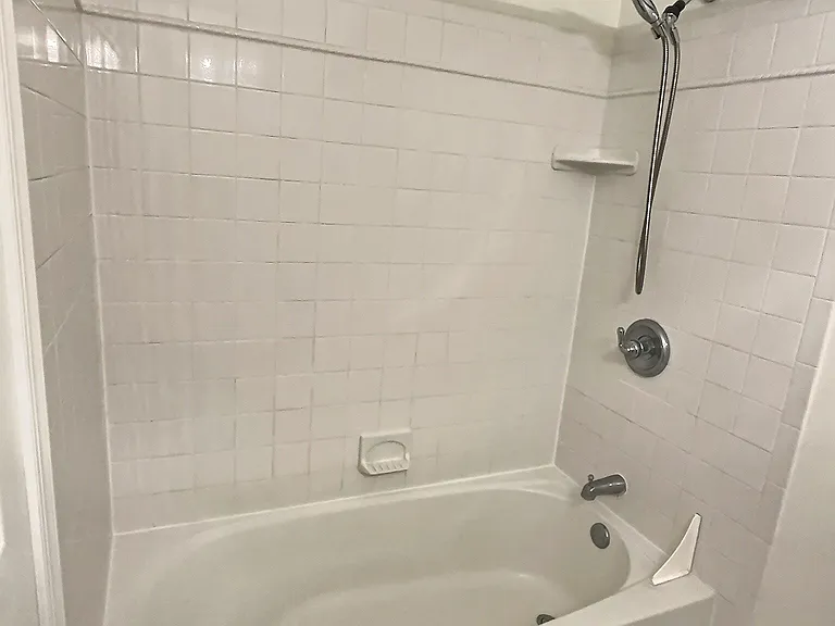 Hall bathroom