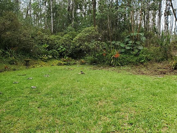 3rd image of Hibiscus Dr Lot 80