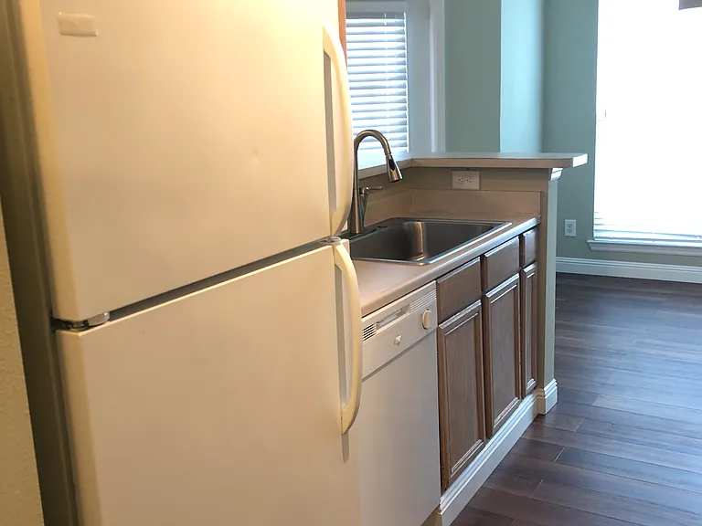 700 Daniel Ellis Dr #9105 — Photo 4