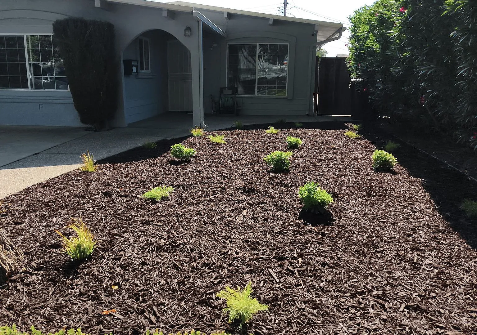 Updated 3 Bedroom, 2 Bath Home with Separate Flex Room and Bath — Photo 2