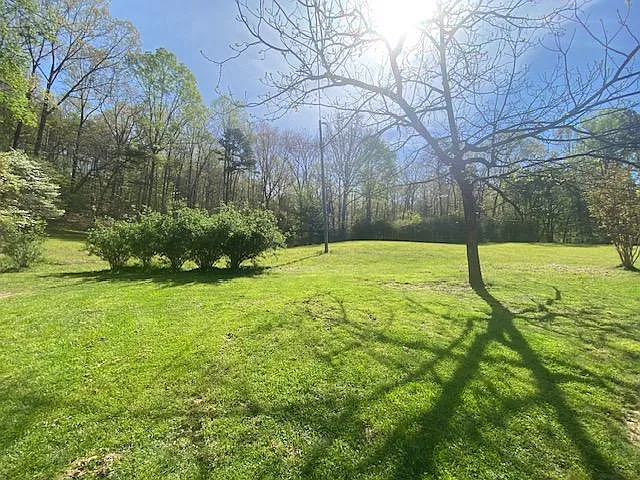 665 Lower Star Creek Rd — Photo 7