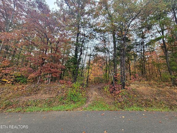 5th image of 6605 Grave Hill Rd