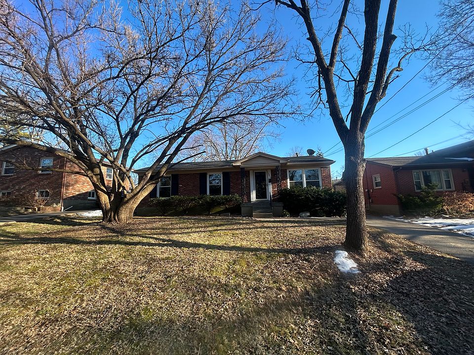 The Front Yard of the house