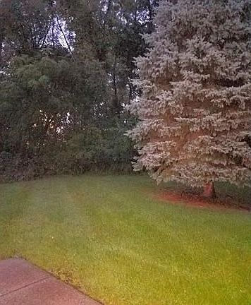 5th image of 3143 Sunnyside Ct #A