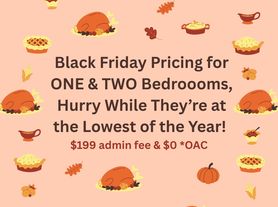 Springs of Country Woods