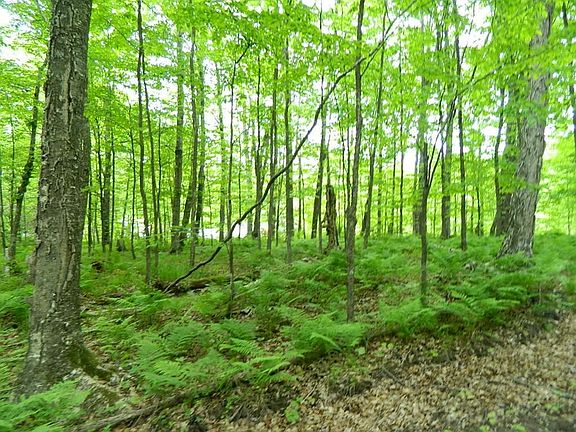 5th image of On Price Dam Road