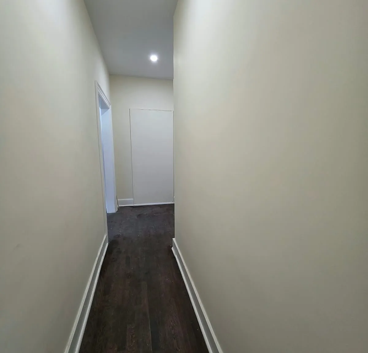2 bed, 1.0 bath, $2,800 — Photo 4
