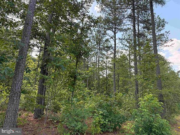 5th image of Dogwood Drive Tract Jr Bedford #Bowles_sim-3
