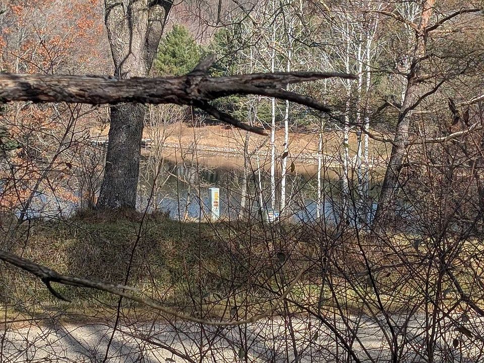 1st image of L221 Black Forest Dr