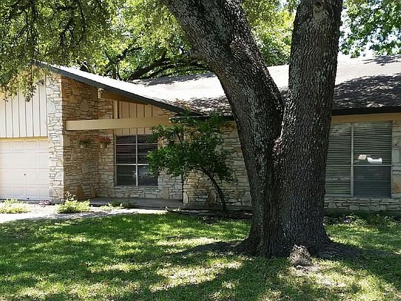 Shady Oak Tree
