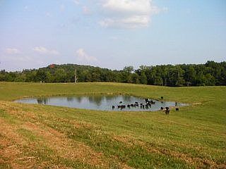2nd image of 124 Rocky Hill Rd