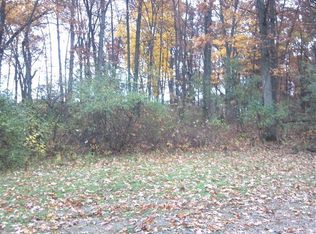 10051 Wildlife Rdg, Manchester, MI 48158