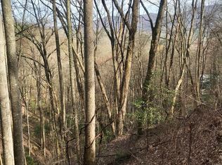 Lot20&23 Bailey Ave, Bryson City, NC 28713