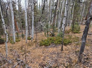 210 Tepee Trl, Como, CO 80456