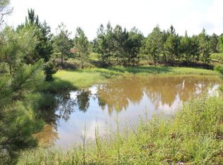 19815 County Road 12 S, Foley, AL 36535