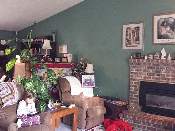 Vaulted Living Room with Gas Fireplace