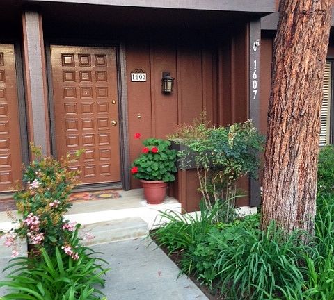 2nd image of 1607 Dalmatia Dr