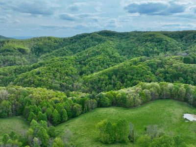 Chestnut Flts, Lewisburg, WV, 24901