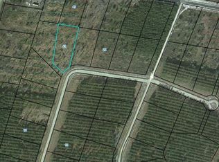 0 Satilla Plantation, Waynesville, GA 31566