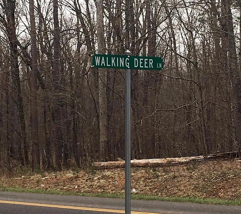 1st image of 21444 Walking Deer Ln