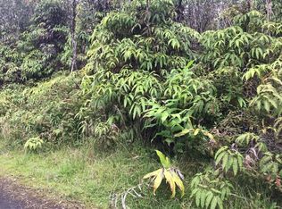 Nene St, Mountain View, HI 96771