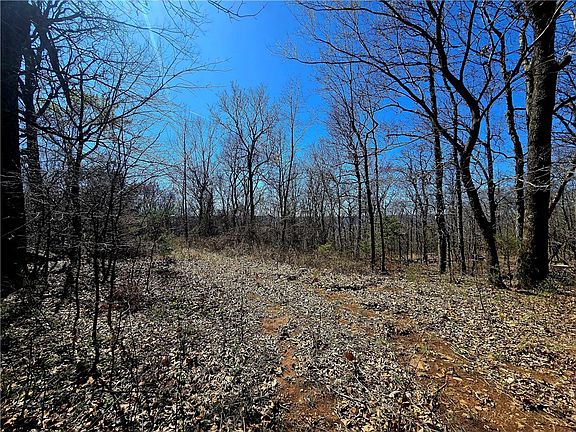 5th image of 19743 Hale Mountain Rd