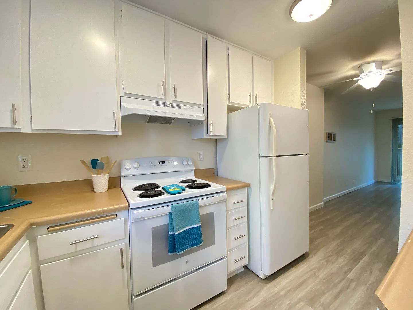 Blueberry Apartments — Photo 3
