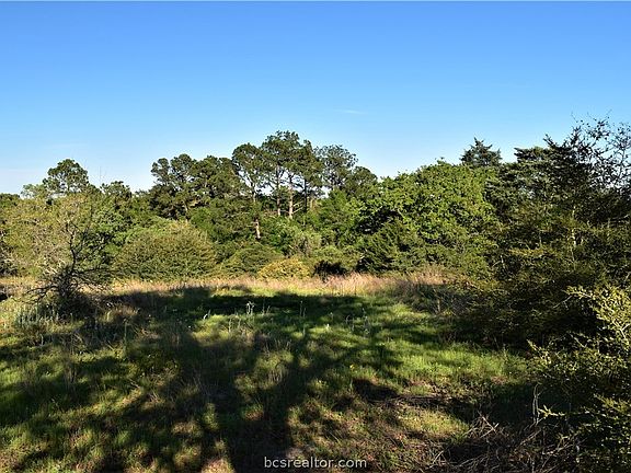 3rd image of County Road 339