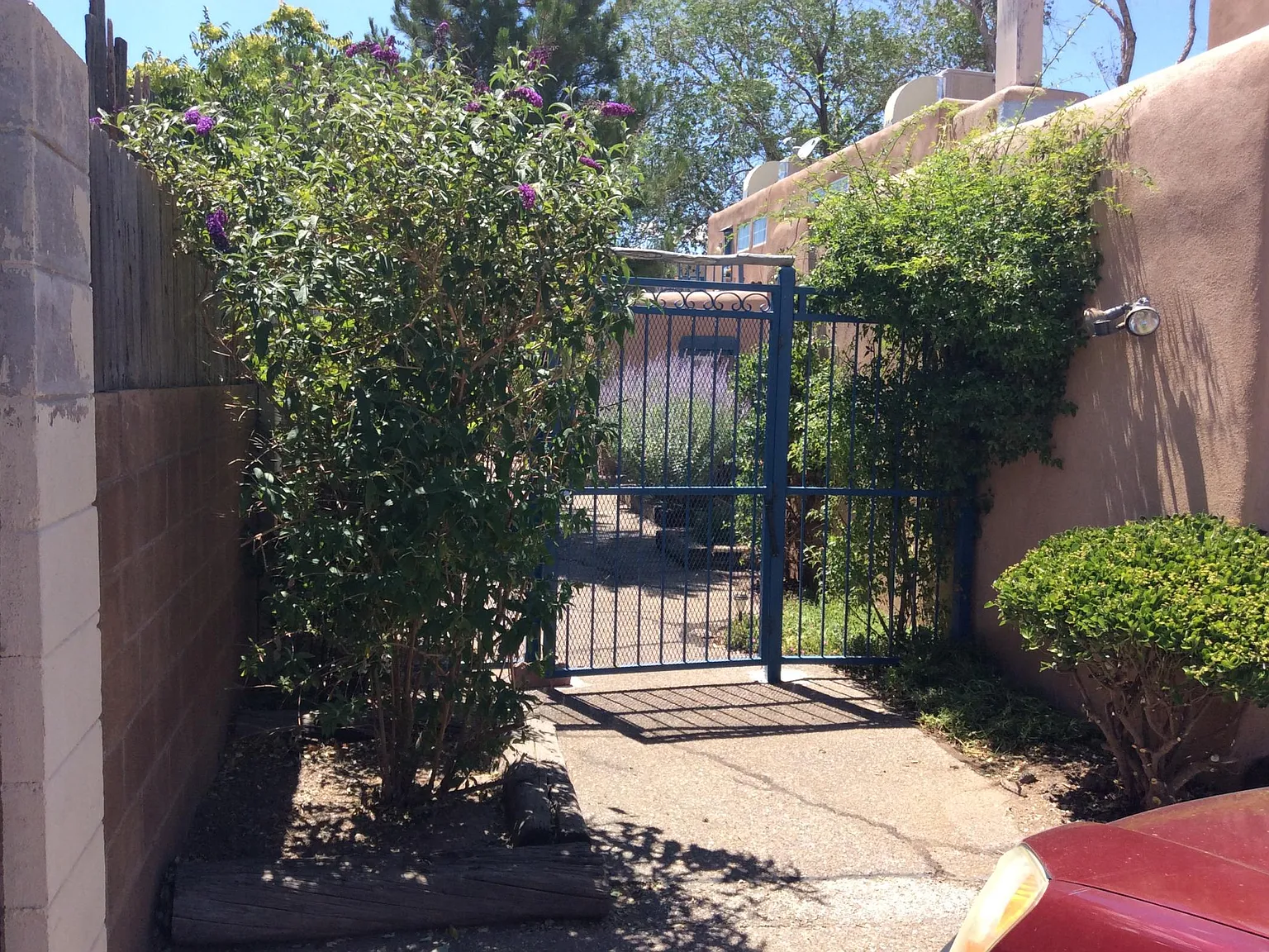 2 bed, 950 sqft, $1,625 — Photo 4