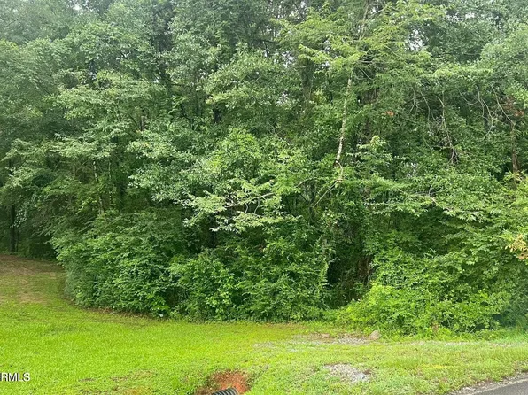 446 Briarwood Rd, Meridian, MS 39305