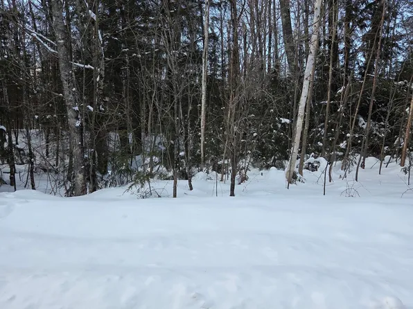 Northwoods Ln Lot 1, Elcho, WI 54428