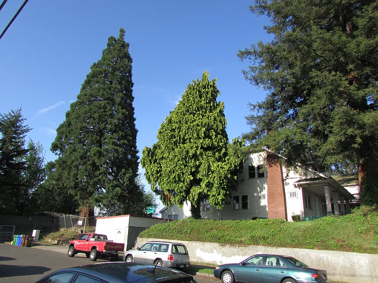 1241 N Prescott St #3 — Photo 16