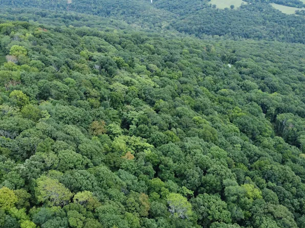 20988 Chimney Field Rd, Winslow, AR 72959