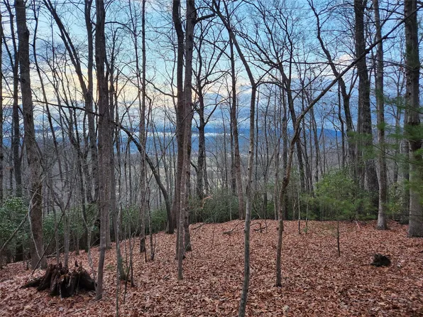 2 Paisley Ln Unit 2, Pisgah Forest, NC 28768