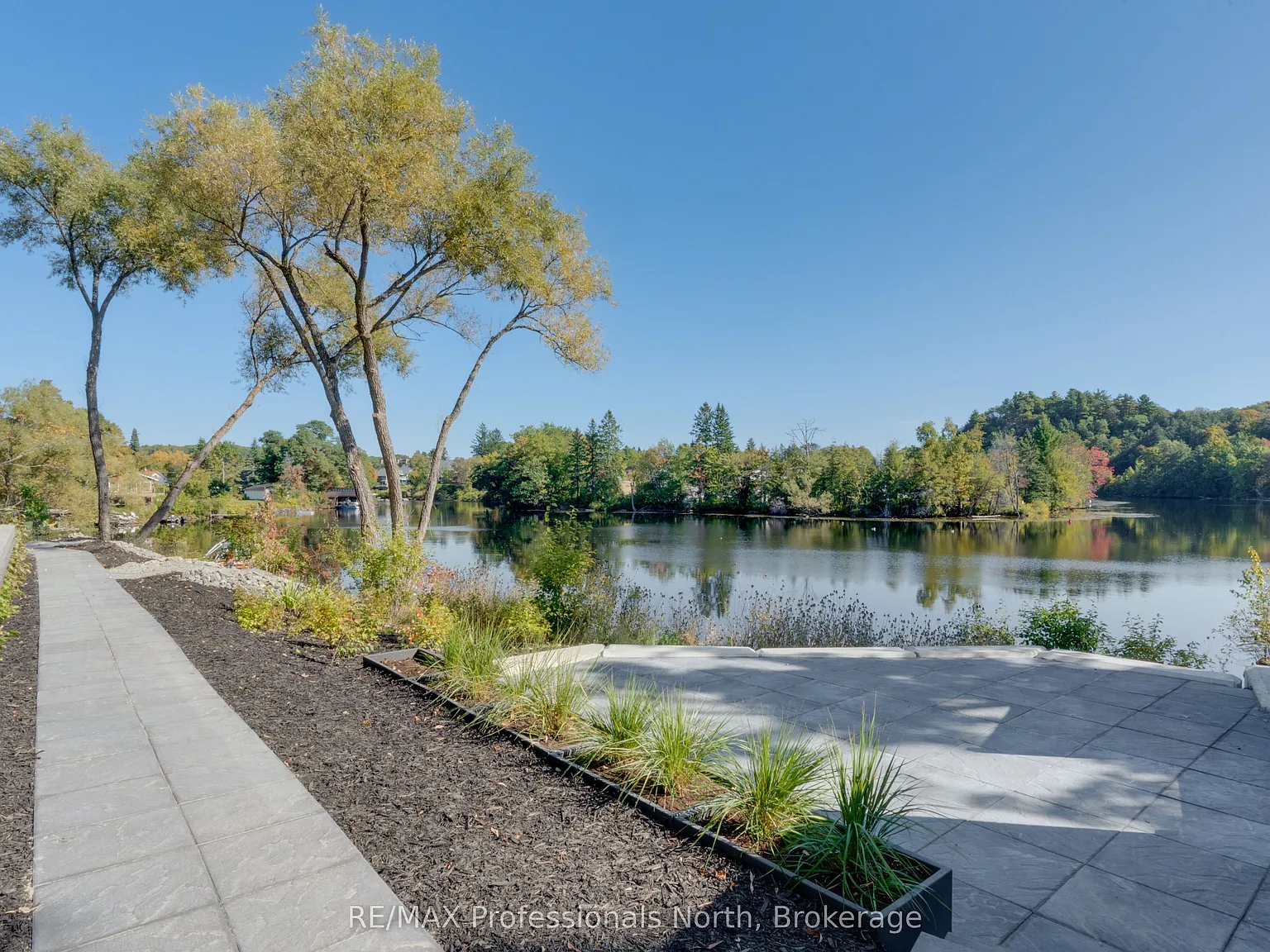 1 bed, $3,800 — Photo 4
