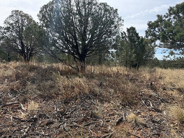 2nd image of 65 Lakewood Dr