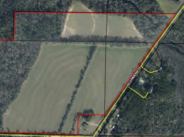 0 Highway 273, Graceville, FL 32440