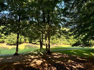 9557 Aberdeen Ct, Stanwood, MI, 49346