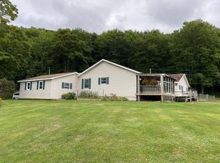 186 Munn Rd, Walton, NY 13856