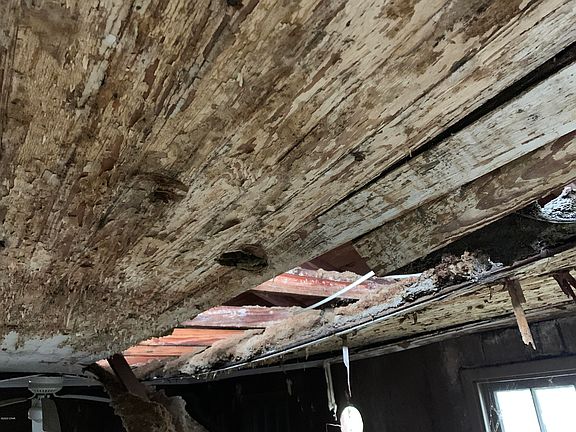 5th image of 405 Kraft Ave