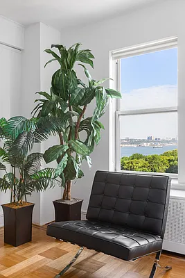 Sold by Douglas Elliman | media 22