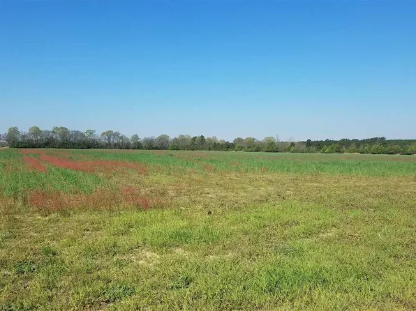 565 Davids Pond Rd, Bennettsville, SC 29512